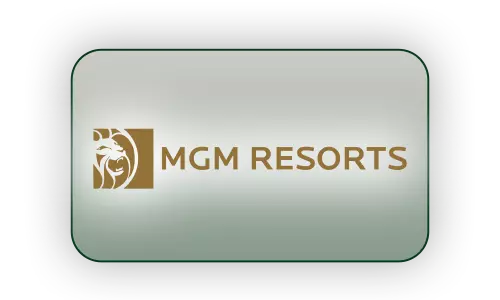 Partner Panels MGM